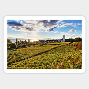 Sunset over Grape Orchards near Hagnau - Lake Constance Sticker